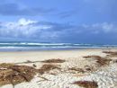 Palm Beach, Gold Coast
